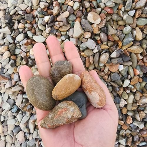 الصفحة الرئيسية img 20250822 wa0012