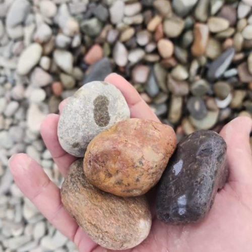 الصفحة الرئيسية img 20250822 wa0013