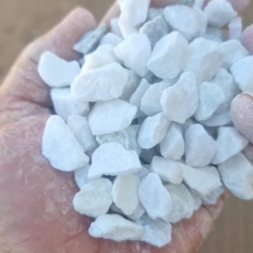 الصفحة الرئيسية img 20250822 wa0016