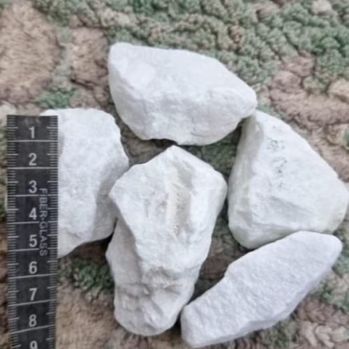 الصفحة الرئيسية img 20250909 wa0002