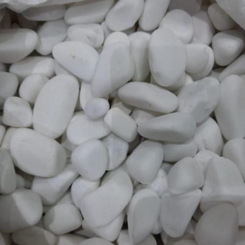 الصفحة الرئيسية img 20250909 wa0012