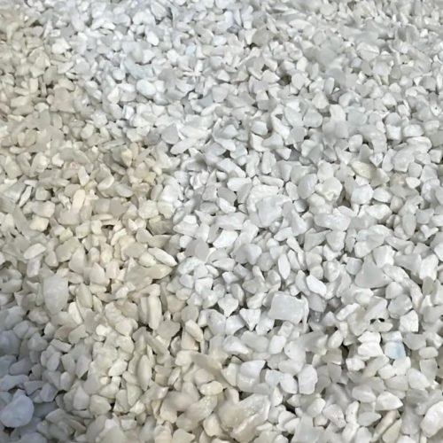 الصفحة الرئيسية img 20250912 wa0021