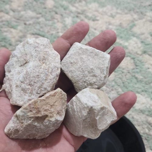 whatsapp image 2025 08 28 at 11.18.34 46a5cf5e