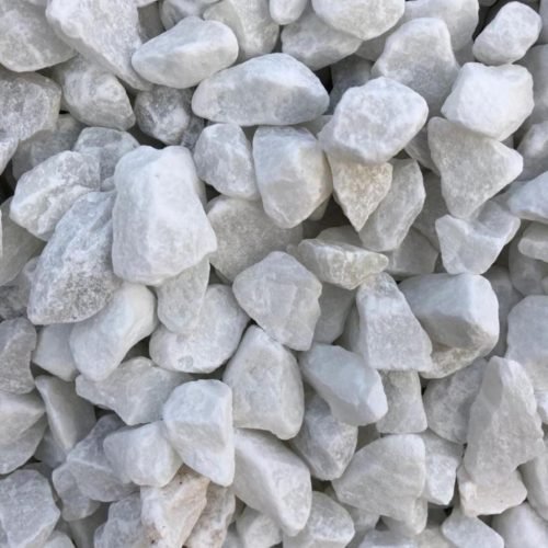 الصفحة الرئيسية whatsapp image 2025 09 14 at 04.30.49 8bf9d7b5